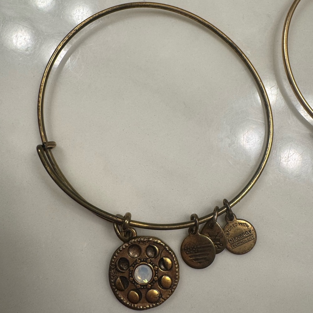 Alex and Ani Gold Bracelet with Charms